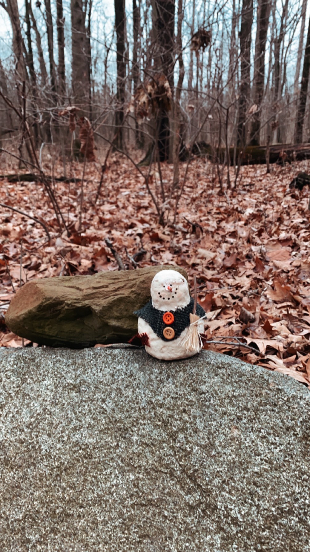 a little surprise snowman