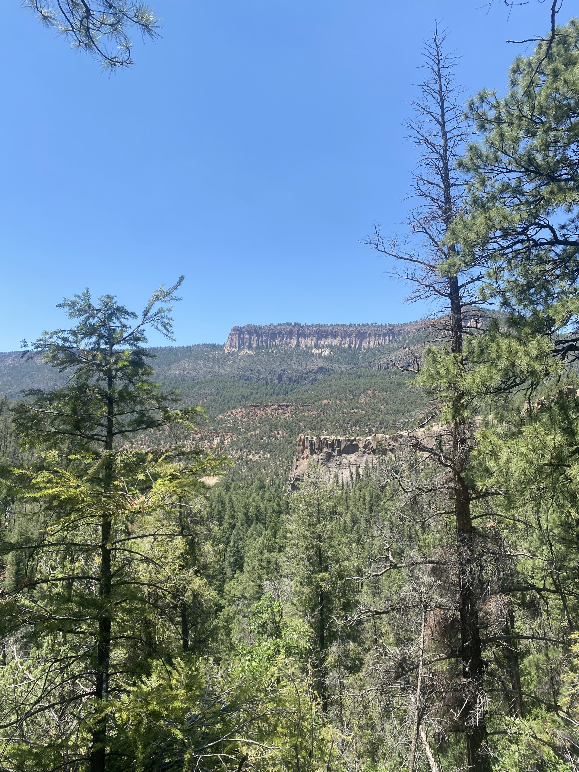 Albuquerque